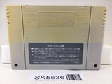 Gundam F91 Formula Senki 0122 Nintendo Super Famicom SNES Japan - SK5536