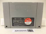 Yu Yu Hakusho Tokubetsu Hen Nintendo Super Famicom SNES Japan - SK5545