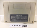 Ranma 1/2 Bakuretsu Rantou Hen Nintendo Super Famicom SNES Japan - SK5547