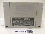 Hammerin' Harry Ganbare! Daiku no Gensan Super Famicom SNES Japan - SK5553