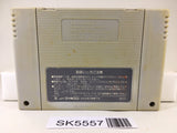Takahashi Meijin no Daibouken Jima Nintendo Super Famicom SNES Japan - SK5557