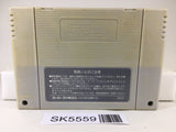 Super Wagyan Land Nintendo Super Famicom SNES Japan - SK5559