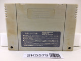 Super Tetris 2 + Bombliss Nintendo Super Famicom SNES Japan - SK5579