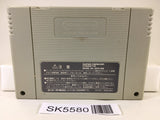 Super Tetris 2 + Bombliss Nintendo Super Famicom SNES Japan - SK5580