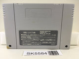 Naxat Super Pinball Jaki Crash Hakai Nintendo Super Famicom SNES Japan - SK5584