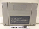 Big Run The Supreme 4WD Challenge Nintendo Super Famicom SNES Japan - SK5589