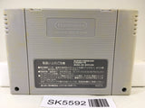 F1 Grand Prix Racing Nintendo Super Famicom SNES Japan - SK5592