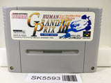Human Grand Prix 3 F1 Triple Battle Racing Super Famicom SNES Japan - SK5593