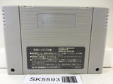 Human Grand Prix 3 F1 Triple Battle Racing Super Famicom SNES Japan - SK5593