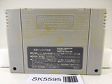 Pilotwings Nintendo Super Famicom SNES Japan - SK5595