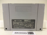 World Cup USA '94 Soccer Nintendo Super Famicom SNES Japan - SK5599
