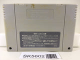 Pro Football Nintendo Super Famicom SNES Japan - SK5602