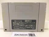 Magic Johnson's Super Slam Dunk Basketball Super Famicom SNES Japan - SK5606