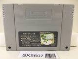 Magic Johnson's Super Slam Dunk Basketball Super Famicom SNES Japan - SK5607