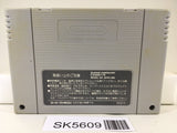 FirePro Joshi AllStarDreamSlam ProWrestling Super Famicom SNES Japan - SK5609