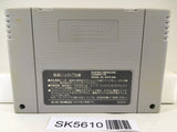 Zen Nippon ProWrestling Nintendo Super Famicom SNES Japan - SK5610