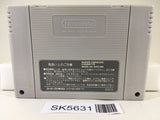Yoshi no Road Hunting Yoshi's Safari Nintendo Super Famicom SNES Japan - SK5631