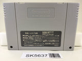 Super Donkey Kong Country Nintendo Super Famicom SNES Japan - SK5637