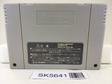 Super Donkey Kong Country 2 Nintendo Super Famicom SNES Japan - SK5641