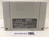 Super Donkey Kong Country 3 Nintendo Super Famicom SNES Japan - SK5642