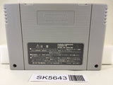Super Donkey Kong Country 3 Nintendo Super Famicom SNES Japan - SK5643