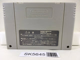 Super Donkey Kong Country 3 Nintendo Super Famicom SNES Japan - SK5645