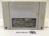Street Fighter II 2 Turbo Nintendo Super Famicom SNES Japan - SK5647