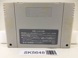 Street Fighter II 2 Turbo Nintendo Super Famicom SNES Japan - SK5648
