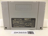 Final Fight Guy Nintendo Super Famicom SNES Japan - SK5658