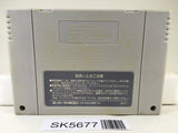 The Legend Of Zelda A Link to the Past Super Famicom SNES Japan - SK5677