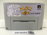 Torneco no Daibouken Fushigi no Dungeon Super Famicom SNES Japan - SK5689