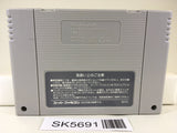 ActRaiser Nintendo Super Famicom SNES Japan - SK5691
