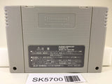 Arkanoid Doh It Again Nintendo Super Famicom SNES Japan - SK5700