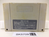 SD Gundam Gaiden Knight Gundam Monogatari Super Famicom SNES Japan - SK5709
