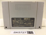 Super Puyo Puyo Nintendo Super Famicom SNES Japan - SK5727