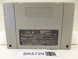 Super Nazo Puyo 2 Tsu Nintendo Super Famicom SNES Japan - SK5729