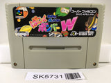 Super Bomberman Panic Bomber World Nintendo Super Famicom SNES Japan - SK5731