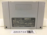 Pop'n TwinBee Nintendo Super Famicom SNES Japan - SK5734