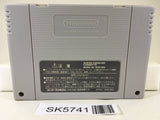 Tokimeki Memorial DensetsuNo Ki no Shita de Super Famicom SNES Japan - SK5741