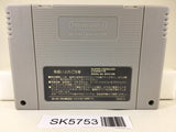Tsuyoshi ShikkaraiShinasai TaisenPuzzleDama Super Famicom SNES Japan - SK5753