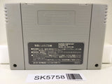 Super Tetris 2 + Bombliss Nintendo Super Famicom SNES Japan - SK5758