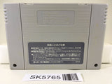 F Zero Nintendo Super Famicom SNES Japan - SK5765
