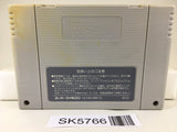 F Zero Nintendo Super Famicom SNES Japan - SK5766
