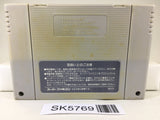 Human Grand Prix IV F1 Dream Battle Racing Super Famicom SNES Japan - SK5769