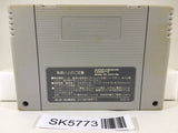 Major Title Golf Nintendo Super Famicom SNES Japan - SK5773