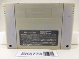 Super Mario World Nintendo Super Famicom SNES Japan - SK5774