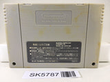 Mario & Wario Nintendo Super Famicom SNES Japan - SK5787