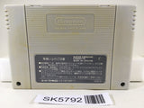 Super Donkey Kong Country Nintendo Super Famicom SNES Japan - SK5792