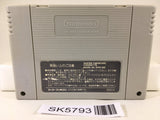 Super Donkey Kong Country Nintendo Super Famicom SNES Japan - SK5793
