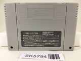 Super Donkey Kong Country Nintendo Super Famicom SNES Japan - SK5794
